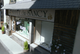 Institut Du Sancy Mont-Dore