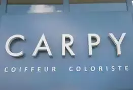 Carpy Coiffeur Tours