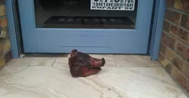 Racisme : un coiffeur d'origine tunisienne retrouve une tête de porc brûlée devant la porte de son salon