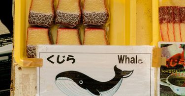 Arrêté, ce chef vendait illégalement des sushis de baleine...